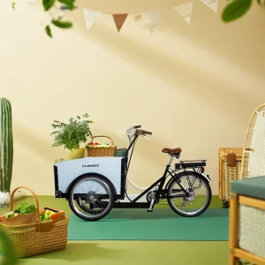 3 Wheel Electric Cargo Bicycle Frame Bakfiets Cargo Bike for Child Dutch Warehouse Family Bike 24 Wheel Size Electric Cargo Bike