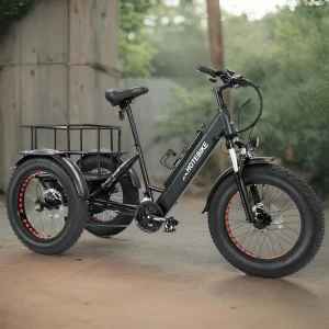 3 Wheel Electric Cargo Bike 20 Inch Fat Tire 48V Lithium Battery Brushless Motor Aluminum Frame Pedicab