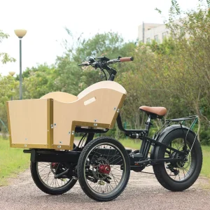 3 Wheel Electric Cargo Bike 48V 500W 750W Brushless Lithium Battery 20 Inch Rear Wheel Fat Tire Trike