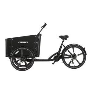 3 Wheel Electric Cargo Bike Aluminum Frame Hydraulic Disc Brakes Lightweight Front Cargo Box Dutch