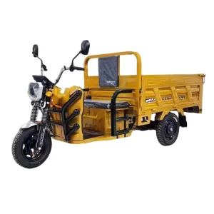 3 Wheel Electric Cargo Bike Minitype for Cargo Solar