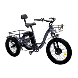 3 Wheel Electric Cargo Tricycle New Style Tricycle Electric Bike 17.5ah Lithium Battery Beach Electric Bicycle