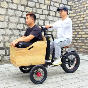3 Wheel Electric Delivery Bikes 48V Family E Bicycle for Food Kids E Bike Baby Electric Tricycles 500W 750W Electric Cargo Bike
