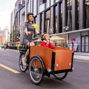 3 Wheel Family Electric Cargo Bike 250W Motor Powered with 36V Lithium Battery Rear Carrier Position