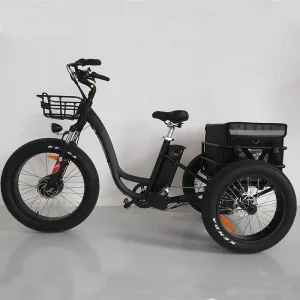 3 Wheel Fat Tire Electric Cargo Bike Tricycle for Cargo Delivery