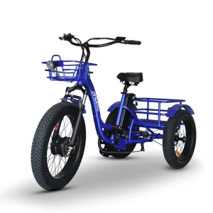 3 Wheel Fat Tire Pedal Electric Family Cargo Bike