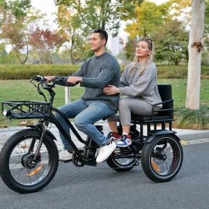 3 Wheel Manned Electric Tricycle Front Drive 24inch Family Cargo Bike Adult Fat Tire Trike 750W 2 Person E Trike