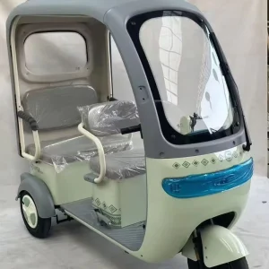 3 Wheel Solar Cargo Bike Passenger Electric Tricycle 600W 800W 1000W for Adults
