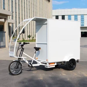 3 Wheeled Electric Cargo Bike Steel Frame Rear Hub Motor Last Mile Delivery Electric Bike