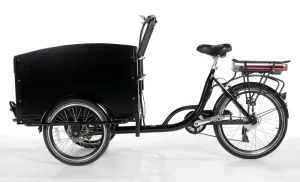3 Wheels Cargo Bike Black Front Load Electric Tricycles Ebike Cargo Tricycles
