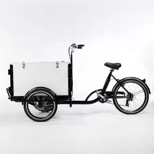 3 Wheels E-assist Cargo Motor Tricycle Cargo Bicycle Bike Trike Bicicleta De Carga Cargo Bike