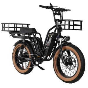 30-50Km/h 7 Speeds DY08 for OEM All Terrian 48V/32Ah 1000W Motor Integrated Battery Electric Bicycle Cargo Bike