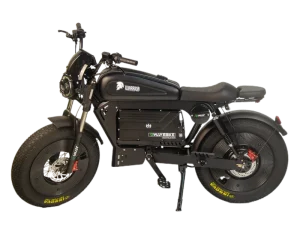 3000W/1500W Electric Dirt Bike Adult Off-Road Electric Bicycle 20Inch Fat Tire Electric Motorcycle Fatbike