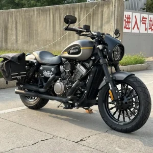 300cc TCS Cruiser Motorcycle Gas Fuel V-Twin Engine ABS