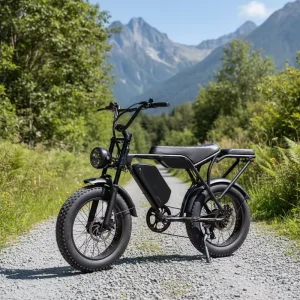 30mph Electric Dirt Bike Steel 60V 30Ah Lithium Battery Fat Tire Electric Bike 2000W Brushless Dual Motor Electric Dirtbike