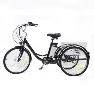 350W 36V Cargo E Bike 3 Wheels Delivery Bike Electric Cargo Bike for Adults