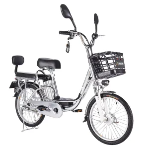 350W 48V 12Ah Electric Bicycle E Bike Two Wheel Electric City Bike for Men