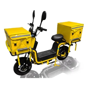 350W 48V Cargo E Bike 20 Inch Steel Frame Electric Food Delivery Bike with Carrier