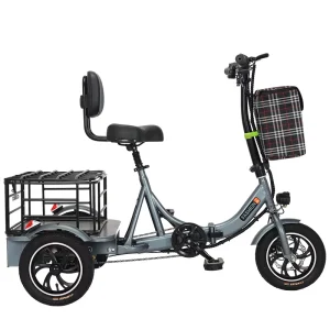 350W 48V Cargo E Bike Adult Tricycle Electric Bike 3 Wheel Electric Tricycle