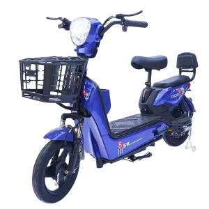 350W 48V E Bike Scooter 14 Inch Long Range City Electric Bike Bicycle for Adults