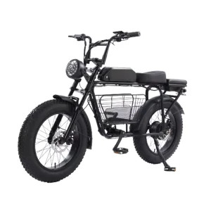 350W Fat Tire Cargo Electric Bike with Disk Brake for Adult