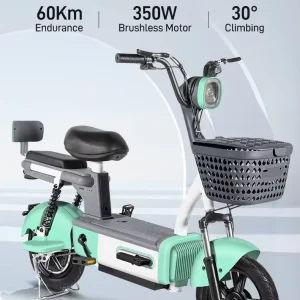 350W High Speed Long Range City Electric Bicycle for Adults 48V 12AH Battery Rear Hub Digital Electronic Bike