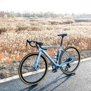 35km/h Carbon Fibre Frame 700c 12-Speed 36V Lithium Battery Electric Road Bike Hydraulic Disc Brakes Rear Hub Motor