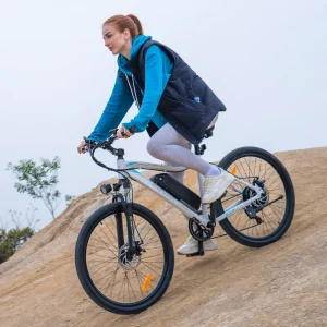 36V 13Ah Electric Mountain Bike 900W High Power Adult Electric Bicycle 40km/h Speed US Canada Local Stock