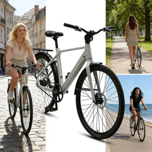 36V 250W Ebike Electric City E Bike for Adult