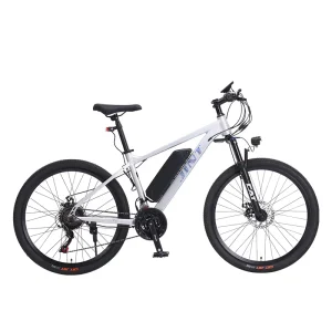 36V 350W Brushless Pedal Assisted Electric Mountain Bike Rear Hub Sport Aluminum Alloy Lithium Battery Foldable Long Distance