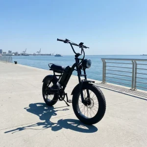 36V 350W Lithium Battery Dual Motors 15AH Rear Hub Single Speed 25km/h Carbon Steel Dual Suspension Electric Off Road Fat Tire