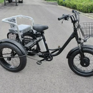 36V 500W Fat Tire 3 Wheel Electric Tricycle With Rear Passenger Seat Off Road Tire Cargo Bike