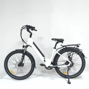 36V 500W Rear Hub Motor 15AH Lithium Battery Women’s City Electric Bike for Urban Adults