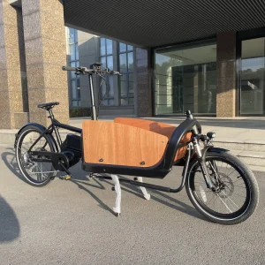 36V Electric Cargo Bike with Central Motor for Sports Fast Shipment in Europe Germany France
