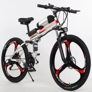 36V High Carbon Steel Frame Disc Brake Brushless Lithium Battery Electric Bike 21 Speed Electric MTB Bike From China