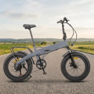 36V Lithium 350W Dual Motors 16 Inch Fat Tire Electric Off Road Bike 15AH 25km/h 40-45KM Range Carbon Steel Frame Dual