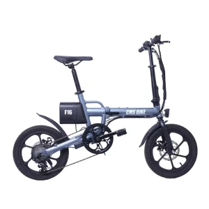 36V Rear Drive 16” Foldable Electric Bike Portable Bicycle