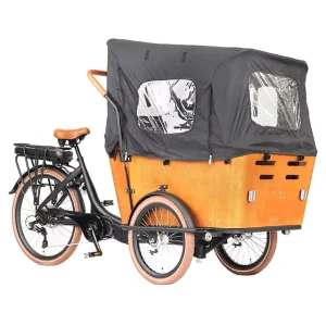 36V Three Wheel Electric Bike Bafang Mid Drive Motor Electric Cargo Tricycle for Adult