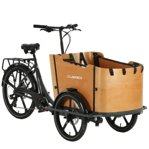 4 Children Seats Electric Family Cargo Bike Power Assist Adult Tricycle Transport and Grocery Shopping Cargo Bike