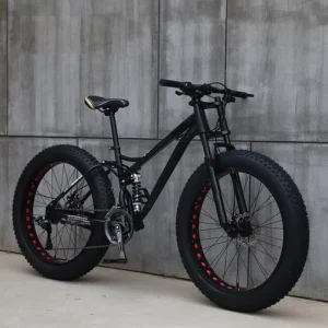 4.0 Fat Tire Mountain Bikes 21 Speeds Disc Brake Steel Front Fork Bicicleta OEM ODM 20 24 26 Inch Snow Bike