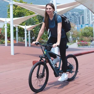 40 km Range Electric City Bicycle, 250W 36V 10Ah Electric City Hybrid Bicycle, 36V Electric Commuter Off-Road Bicycle for Adults