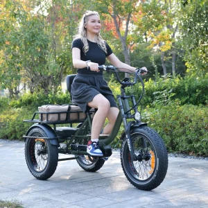 48V 1000W 20*4.0 Fat Tire Central Motor Aluminum Alloy Frame Lithium Battery 3 Wheel Electric Cargo Bike with Long Range
