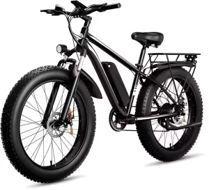 48V 1000W Lithium Battery-Powered Electric Hybrid Bicycle, Adult