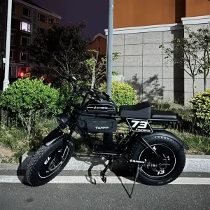 48V 1000W 50 Kmph 20 Inch Fat Tire Electric Bikes City Commuter Jungle Off Road Electric Mountain Bikes Electric Bicycle
