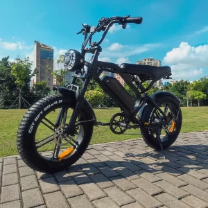 48V 1000W Retro Electric Mountain Bike V20 15Ah Lithium Battery Steel Frame Front Rear Disc Brakes Road Dirt Fat Tires