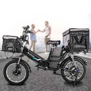 48V 12Ah 50Ah Velo Electrique Dual Battery Electric Cargo Delivery Bike with Sidecar Enduro Ebike Electric Bicycle