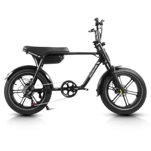 48V 16Ah Removable Lithium Battery 7 Speed 20 Inch Fat Tire High Speed Digital Pedal Assist Aluminum Alloy Frame Electric City