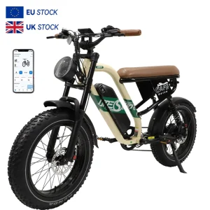 48V Lithium Battery Hybrid Electric City and Mountain Off-Road Bicycle, Steel Frame, Adult Fat Tire