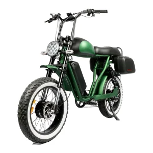 48V Fat-Tire Hybrid Electric Road and Off-Road Vehicle, 2000W Bafang Dual-Motor Electric Mountain Bike