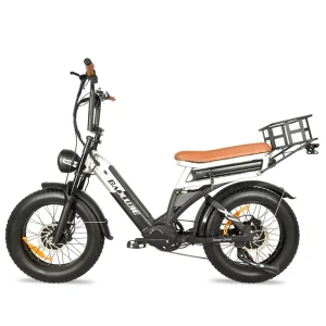 48V 2000W Electric Cargo Bike 20 Inch Fat Tire Adult Long Range E Bike